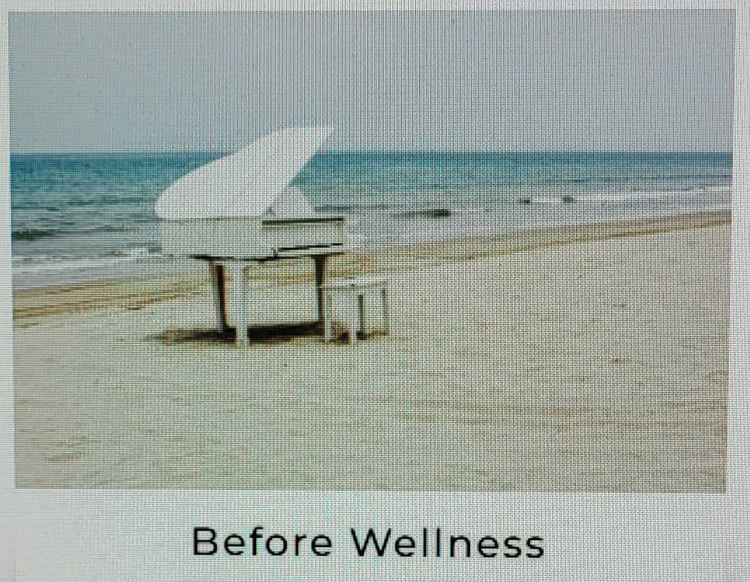 Health and Wellness Online Courses