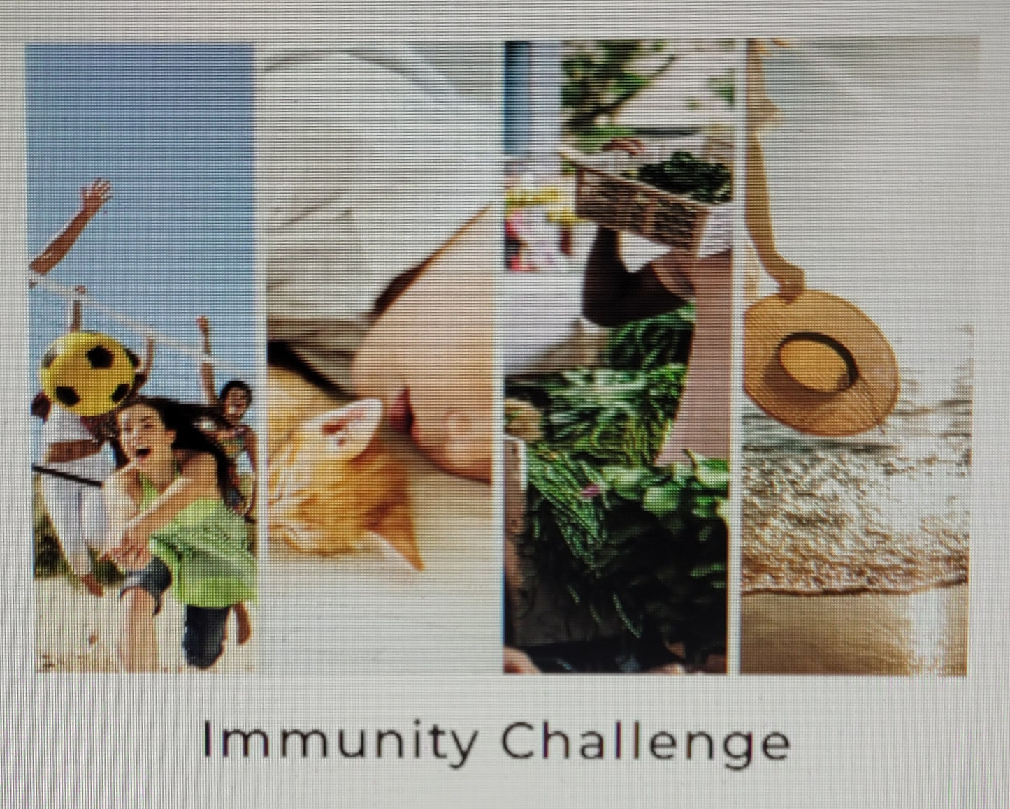 Health and Wellness Online Courses