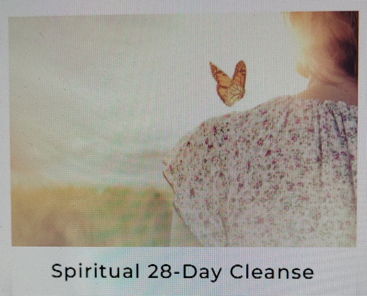 Health and Wellness Online Courses