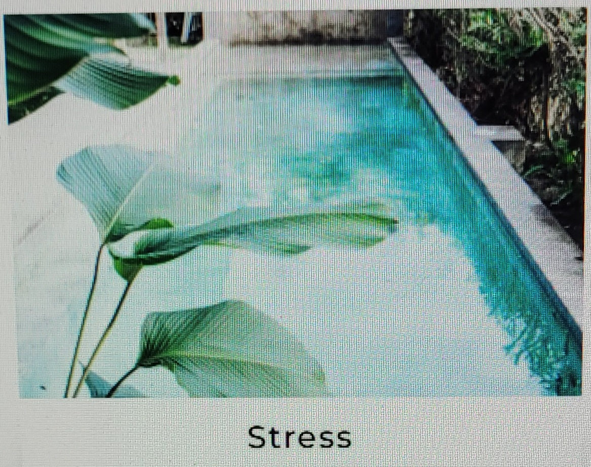 Health and Wellness Online Courses